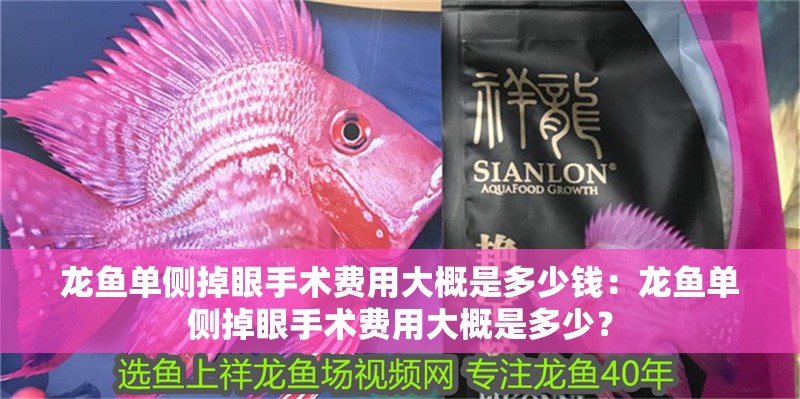 龍魚單側掉眼手術費用大概是多少錢：龍魚單側掉眼手術費用大概是多少？ 龍魚單側掉眼手術費用大概是多少錢：龍魚單側掉眼手術費用大概是多少？ 水族問答