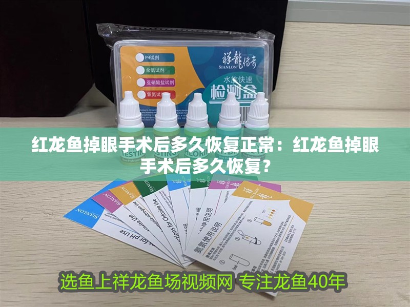 紅龍魚掉眼手術后多久恢復正常：紅龍魚掉眼手術后多久恢復？