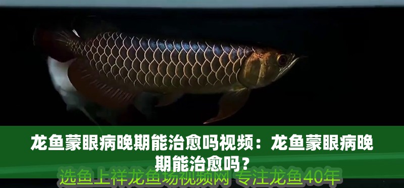 龍魚蒙眼病晚期能治愈嗎視頻：龍魚蒙眼病晚期能治愈嗎？