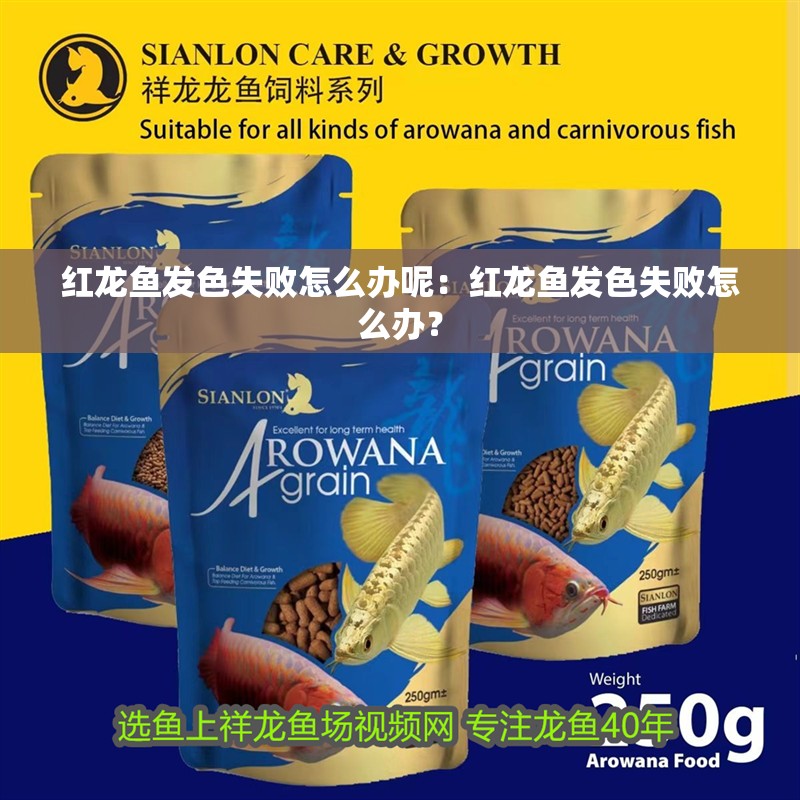 紅龍魚發(fā)色失敗怎么辦呢：紅龍魚發(fā)色失敗怎么辦？