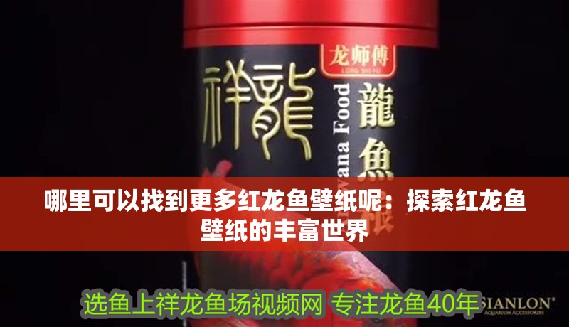 哪里可以找到更多紅龍魚壁紙呢：探索紅龍魚壁紙的豐富世界