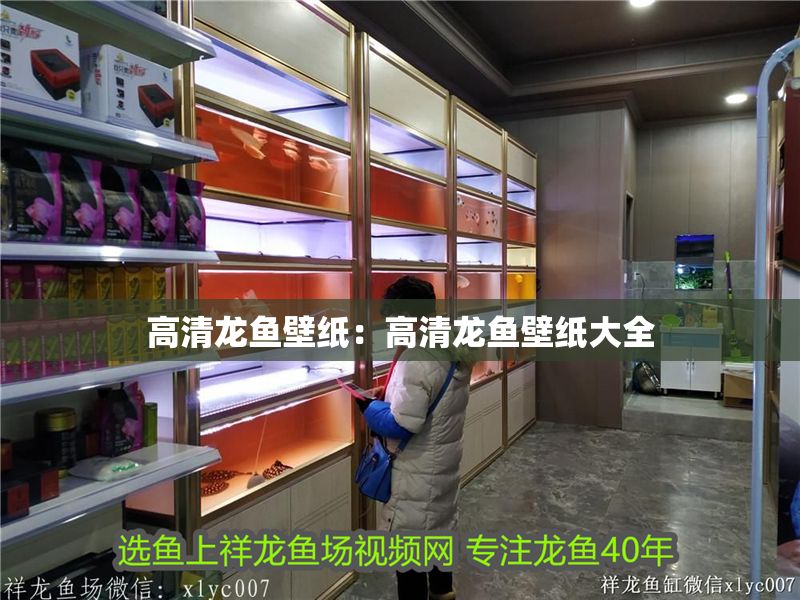 高清龍魚(yú)壁紙：高清龍魚(yú)壁紙大全