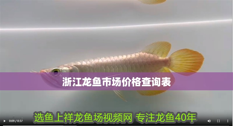印尼虎魚多少溫度飼養最好:印尼虎魚多少溫度飼養最好印尼虎魚多少溫度飼養最好 浙江龍魚市場價格查詢表 龍魚百科 浙江龍魚市場價格查詢表 浙江龍魚市場價格查詢表 龍魚百科