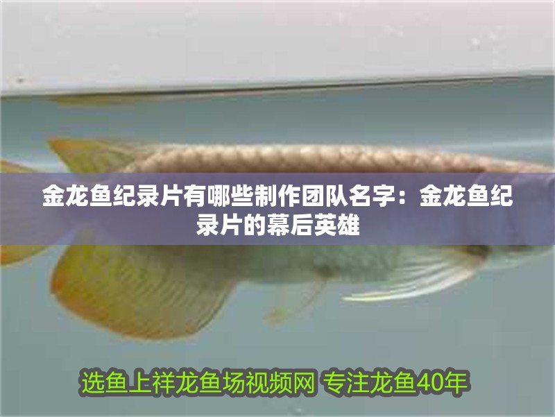 金龍魚紀錄片有哪些制作團隊名字：金龍魚紀錄片的幕后英雄