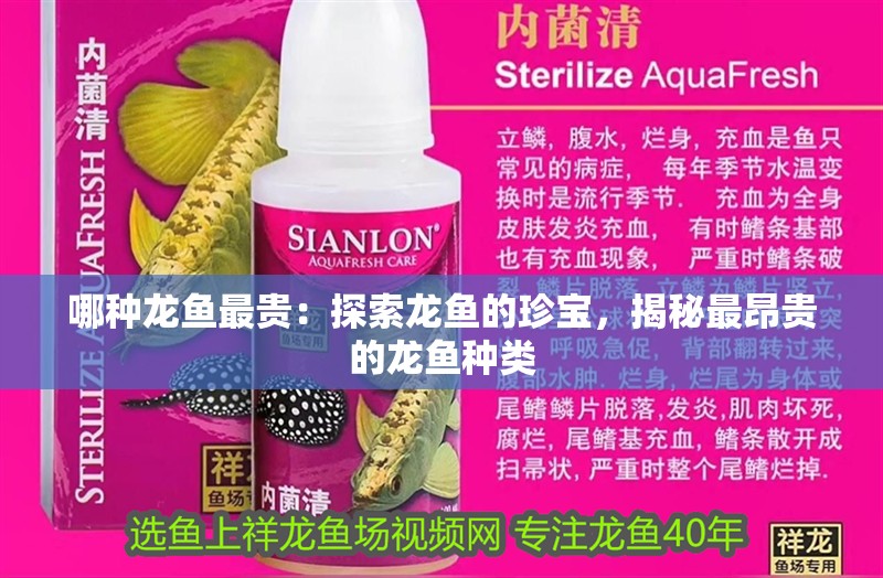 哪種龍魚最貴：探索龍魚的珍寶，揭秘最昂貴的龍魚種類
