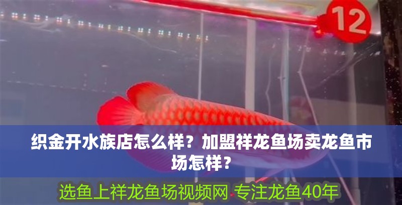 織金開水族店怎么樣？加盟祥龍魚場賣龍魚市場怎樣？