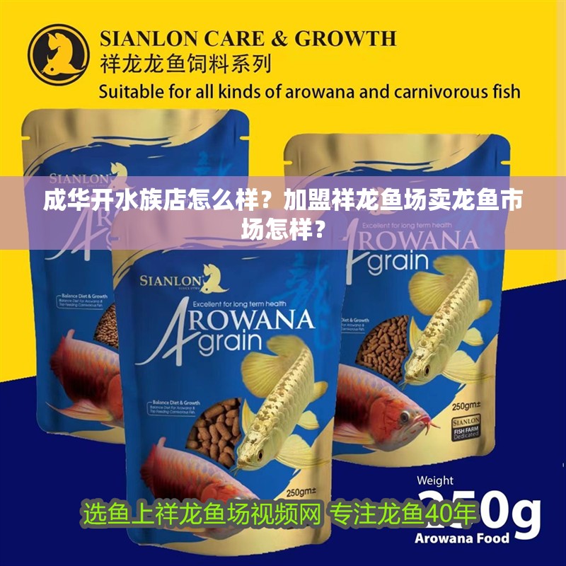 成華開水族店怎么樣？加盟祥龍魚場賣龍魚市場怎樣？