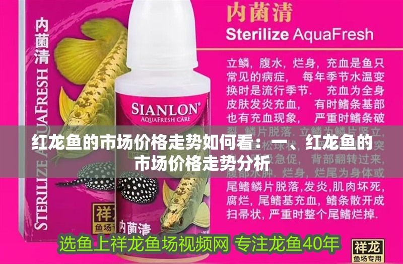 紅龍魚的市場價格走勢如何看：一、紅龍魚的市場價格走勢分析