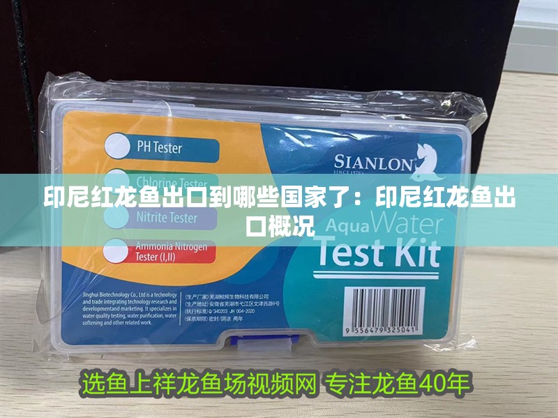 印尼紅龍魚出口到哪些國家了：印尼紅龍魚出口概況