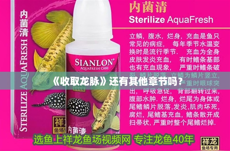 《收取龍脈》還有其他章節(jié)嗎？