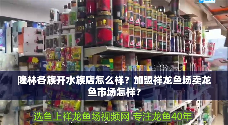 隆林各族開水族店怎么樣？加盟祥龍魚場賣龍魚市場怎樣？ 隆林各族開水族店怎么樣？加盟祥龍魚場賣龍魚市場怎樣？ 水族館百科（水族館加盟）