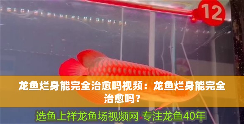 龍魚爛身能完全治愈嗎視頻：龍魚爛身能完全治愈嗎？ 龍魚爛身能完全治愈嗎視頻：龍魚爛身能完全治愈嗎？ 水族問答