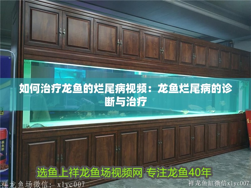 如何治療龍魚(yú)的爛尾病視頻：龍魚(yú)爛尾病的診斷與治療