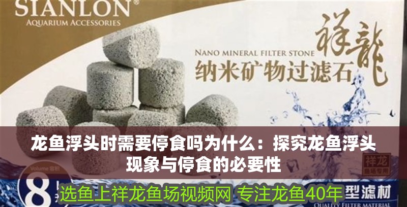 龍魚浮頭時需要停食嗎為什么：探究龍魚浮頭現象與停食的必要性