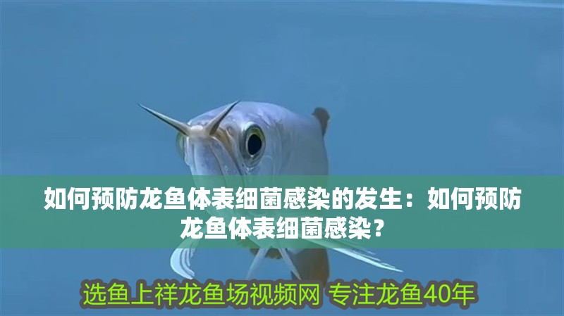 如何預防龍魚體表細菌感染的發生：如何預防龍魚體表細菌感染？