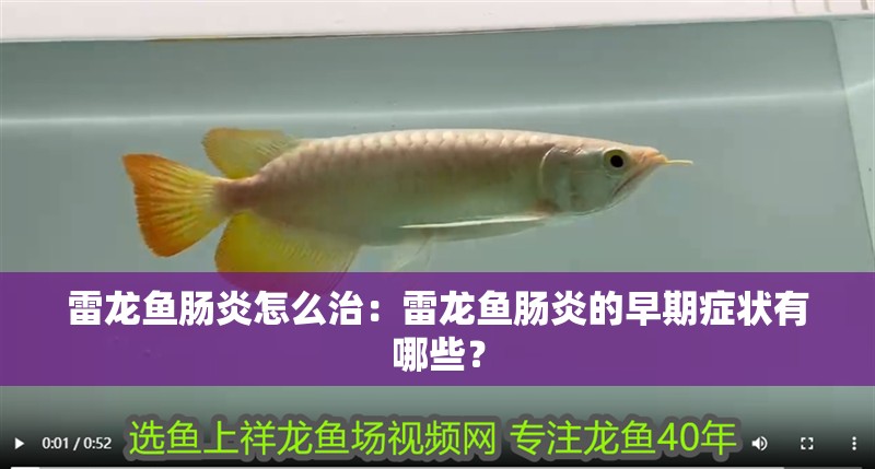 雷龍魚腸炎怎么治：雷龍魚腸炎的早期癥狀有哪些？