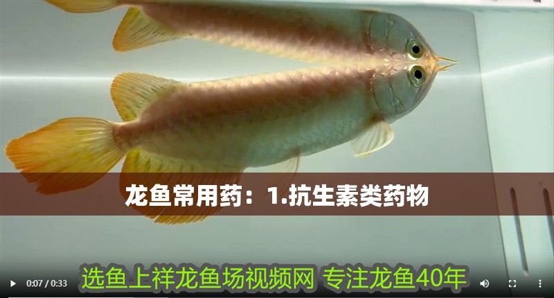 龍魚常用藥：1.抗生素類藥物