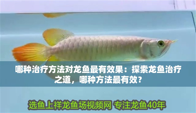 哪種治療方法對龍魚最有效果：探索龍魚治療之道，哪種方法最有效？ 哪種治療方法對龍魚最有效果：探索龍魚治療之道，哪種方法最有效？ 水族問答