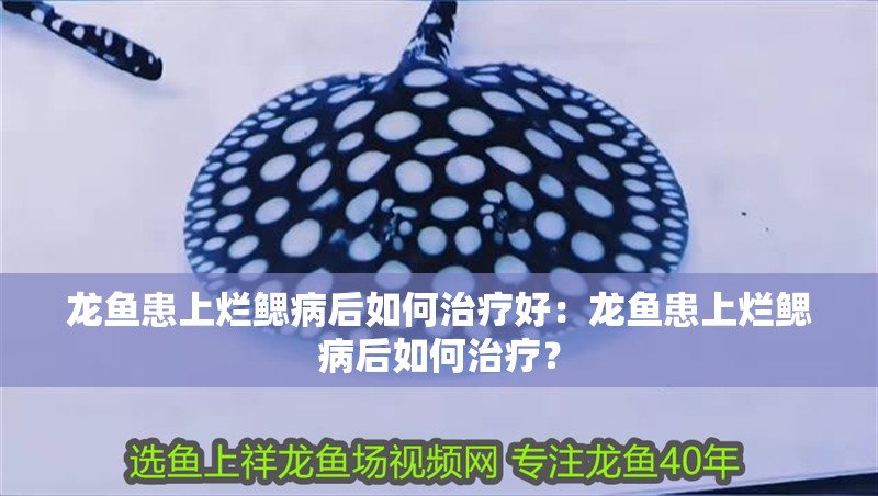 龍魚患上爛鰓病后如何治療好：龍魚患上爛鰓病后如何治療？