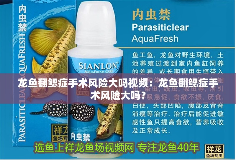 龍魚翻鰓癥手術風險大嗎視頻：龍魚翻鰓癥手術風險大嗎？