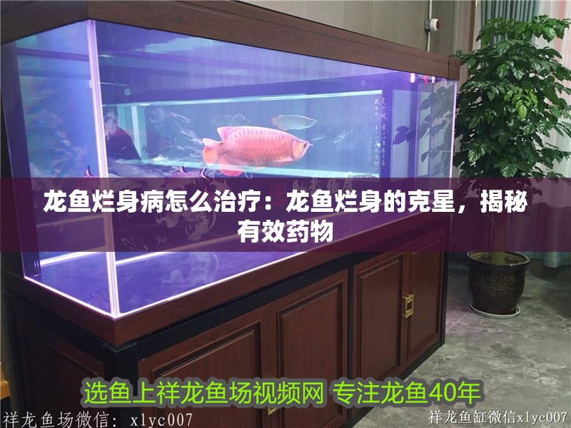 龍魚爛身病怎么治療：龍魚爛身的克星，揭秘有效藥物
