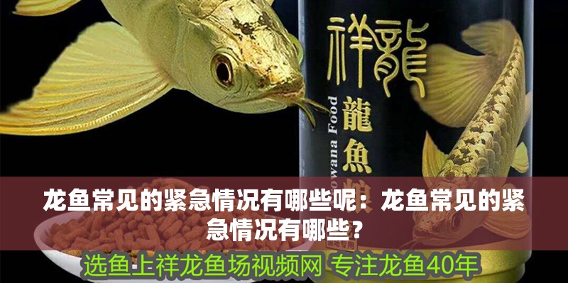 龍魚常見的緊急情況有哪些呢：龍魚常見的緊急情況有哪些？
