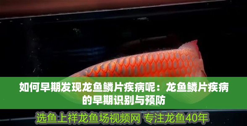 如何早期發現龍魚鱗片疾病呢：龍魚鱗片疾病的早期識別與預防