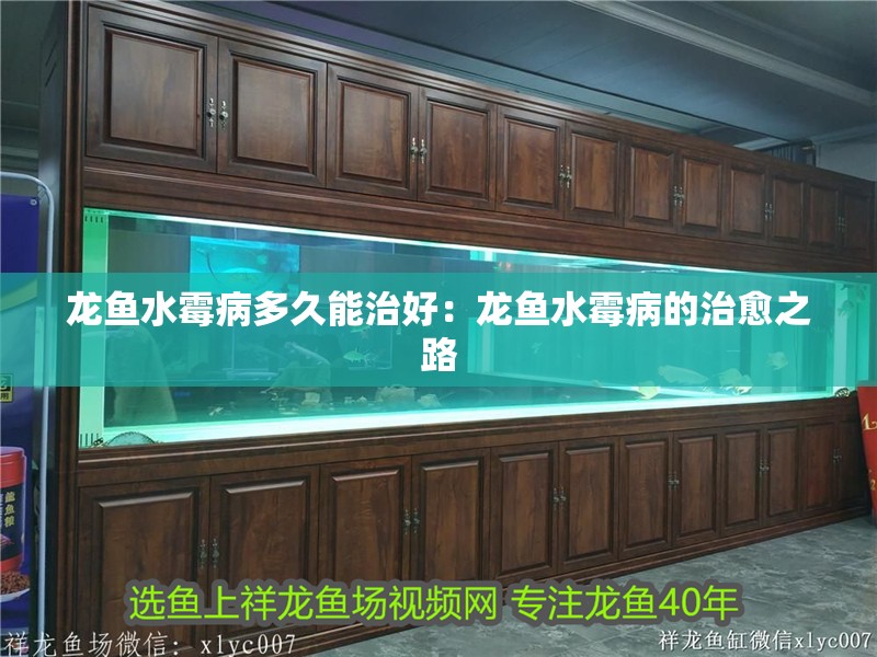 龍魚(yú)水霉病多久能治好：龍魚(yú)水霉病的治愈之路 龍魚(yú)水霉病多久能治好：龍魚(yú)水霉病的治愈之路 水族問(wèn)答