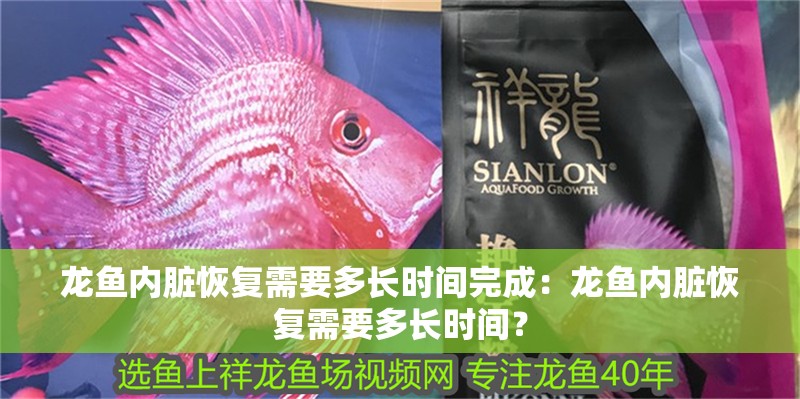 龍魚內臟恢復需要多長時間完成：龍魚內臟恢復需要多長時間？