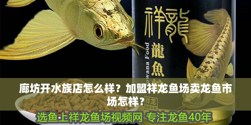 廊坊開水族店怎么樣？加盟祥龍魚場賣龍魚市場怎樣？