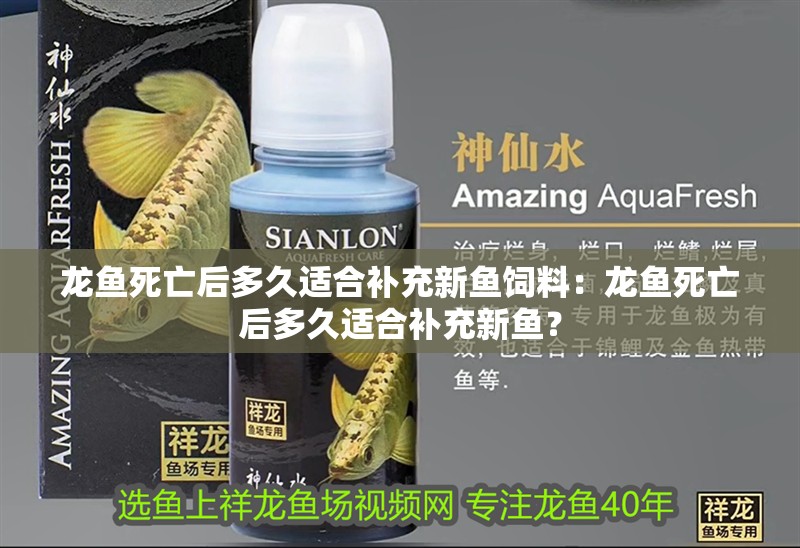 龍魚死亡后多久適合補充新魚飼料：龍魚死亡后多久適合補充新魚？