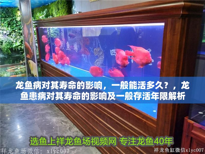 龍魚病對其壽命的影響，一般能活多久？，龍魚患病對其壽命的影響及一般存活年限解析