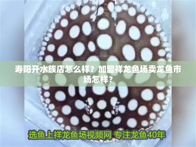 壽陽開水族店怎么樣？加盟祥龍魚場賣龍魚市場怎樣？
