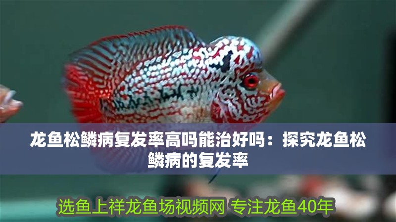 龍魚松鱗病復發率高嗎能治好嗎：探究龍魚松鱗病的復發率