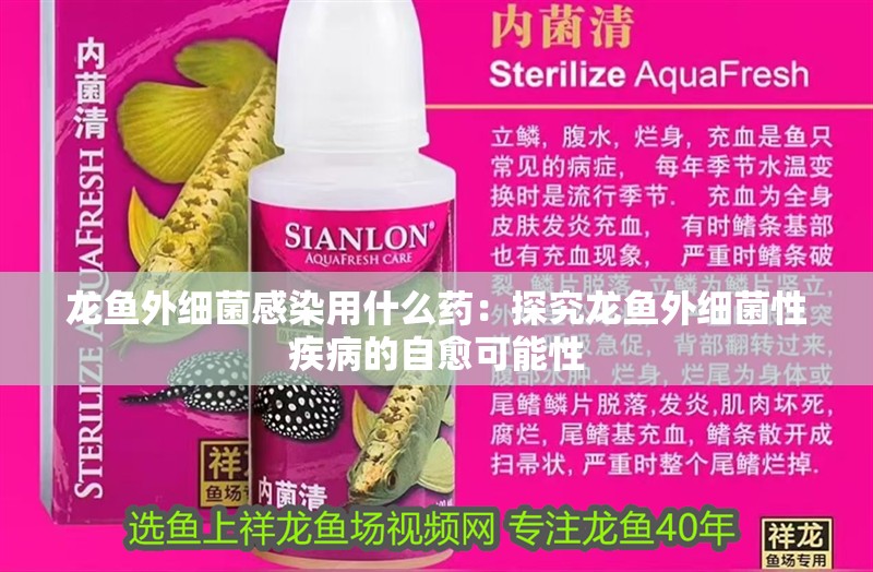 龍魚外細菌感染用什么藥：探究龍魚外細菌性疾病的自愈可能性