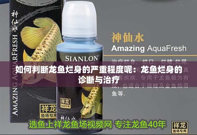 如何判斷龍魚爛身的嚴重程度呢：龍魚爛身的診斷與治療