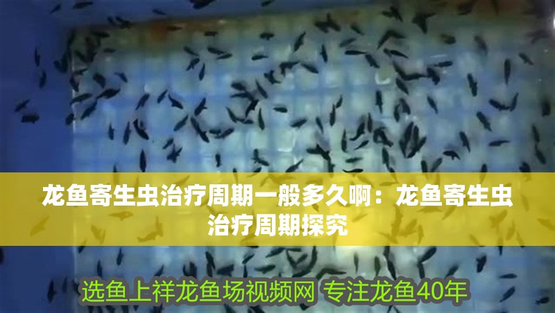 龍魚(yú)寄生蟲(chóng)治療周期一般多久啊：龍魚(yú)寄生蟲(chóng)治療周期探究