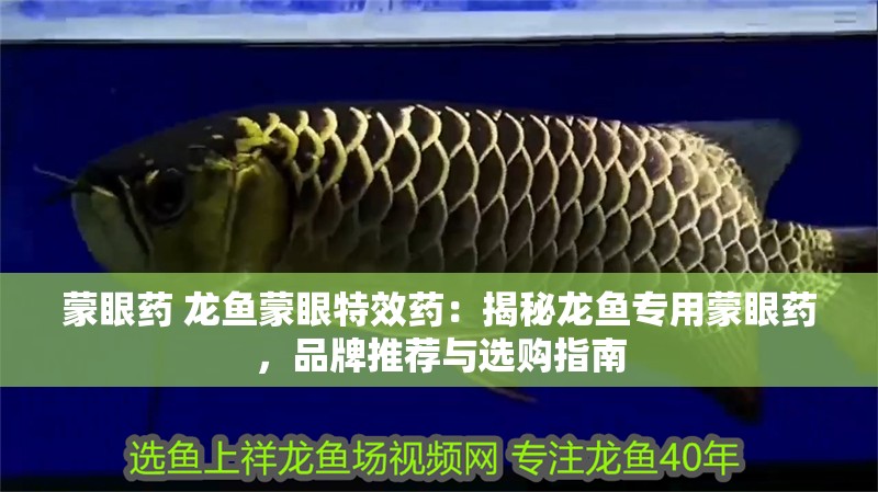 蒙眼藥 龍魚蒙眼特效藥：揭秘龍魚專用蒙眼藥，品牌推薦與選購指南