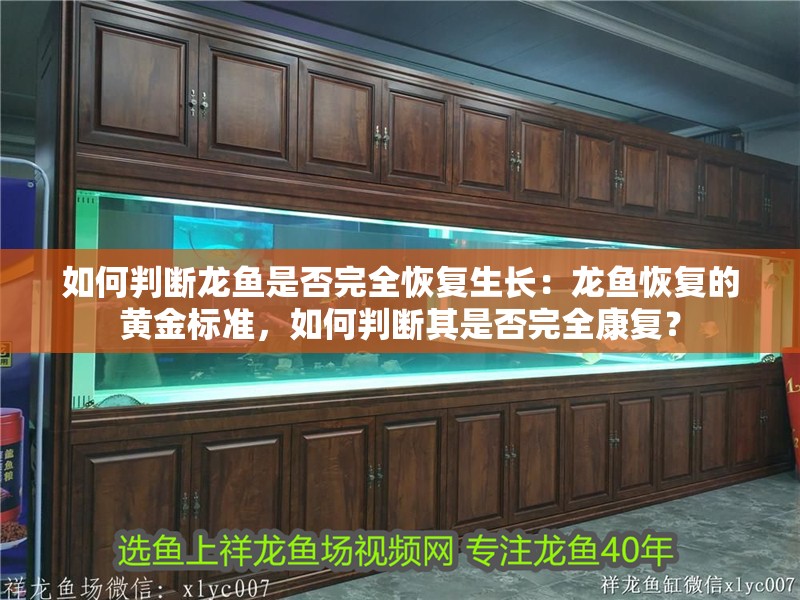 如何判斷龍魚是否完全恢復生長：龍魚恢復的黃金標準，如何判斷其是否完全康復？