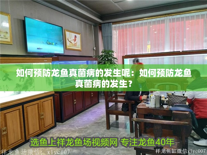 如何預防龍魚真菌病的發(fā)生呢：如何預防龍魚真菌病的發(fā)生？