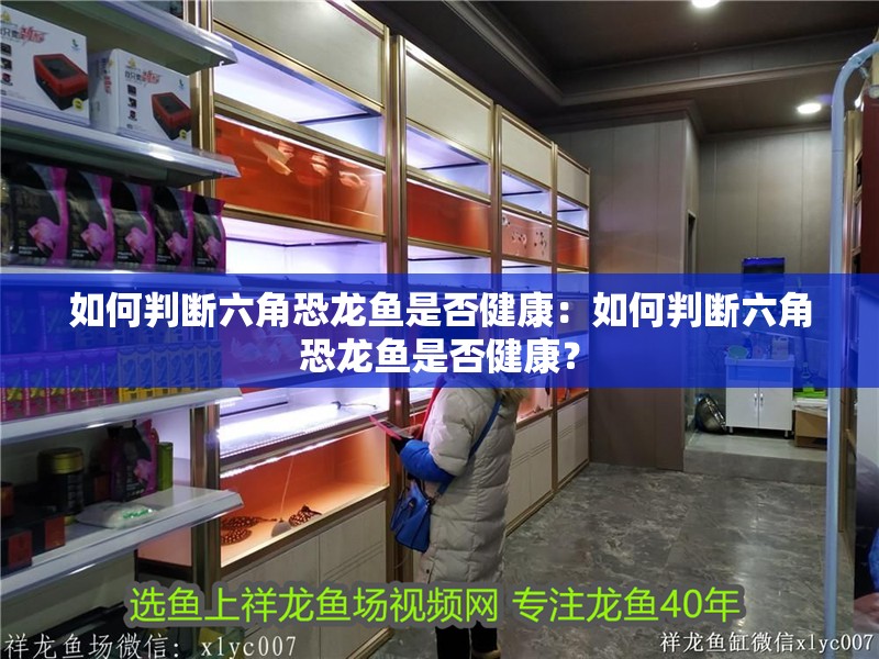 如何判斷六角恐龍魚是否健康：如何判斷六角恐龍魚是否健康？