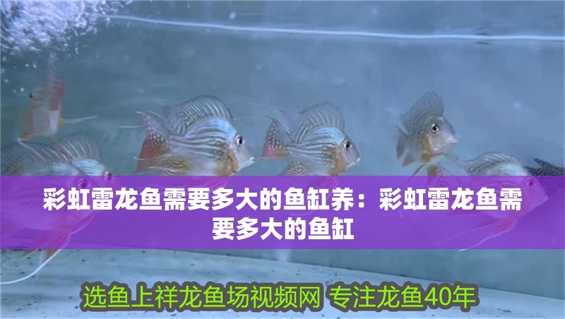 彩虹雷龍魚需要多大的魚缸養：彩虹雷龍魚需要多大的魚缸
