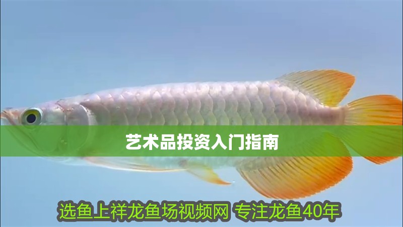 藝術品投資入門指南 藝術品投資入門指南 龍魚百科