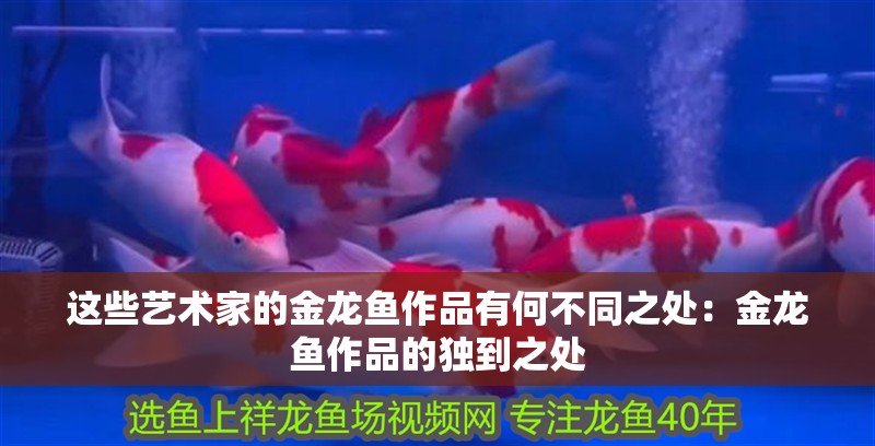 虎魚天天黑來點赤瞳黃金 這些藝術家的金龍魚作品有何不同之處:金龍魚作品的獨到之處 水族問答 這些藝術家的金龍魚作品有何不同之處:金龍魚作品的獨到之處 這些藝術家的金龍魚作品有何不同之處:金龍魚作品的獨到之處 水族問答