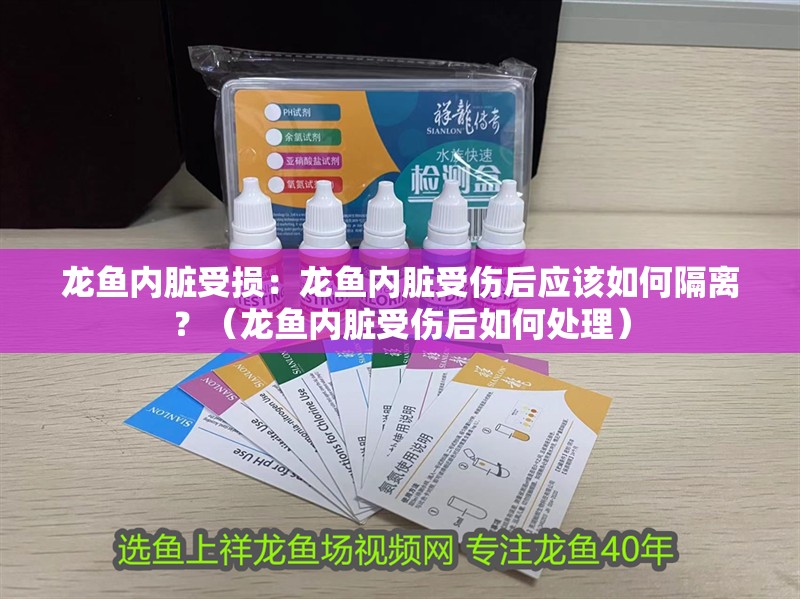 龍魚內臟受損：龍魚內臟受傷后應該如何隔離？（龍魚內臟受傷后如何處理）