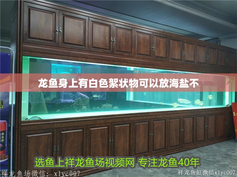 魚缸用增氧泵價格是多少:魚缸增氧機-xtrac增氧機-xtrac增氧機 龍魚身上有白色絮狀物可以放海鹽不 龍魚百科 龍魚身上有白色絮狀物可以放海鹽不 龍魚身上有白色絮狀物可以放海鹽不 龍魚百科