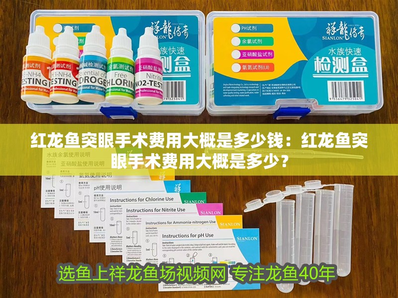 紅龍魚突眼手術(shù)費用大概是多少錢：紅龍魚突眼手術(shù)費用大概是多少？