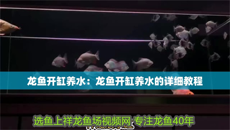 龍魚開缸養水：龍魚開缸養水的詳細教程