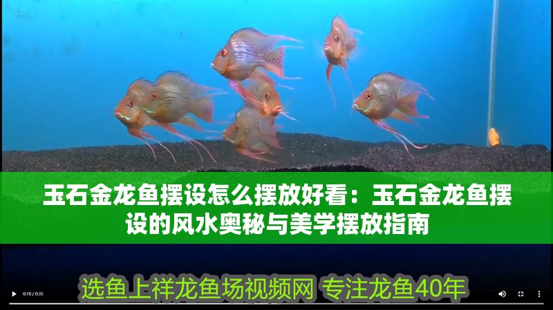 玉石金龍魚擺設怎么擺放好看：玉石金龍魚擺設的風水奧秘與美學擺放指南
