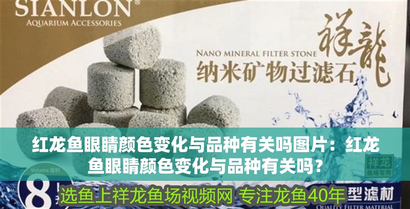 紅龍魚眼睛顏色變化與品種有關嗎圖片：紅龍魚眼睛顏色變化與品種有關嗎？